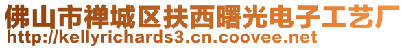 佛山市禪城區(qū)扶西曙光電子工藝廠