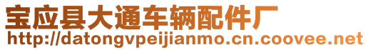 寶應(yīng)縣大通車輛配件廠