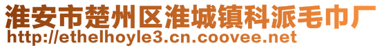 淮安市楚州區(qū)淮城鎮(zhèn)科派毛巾廠