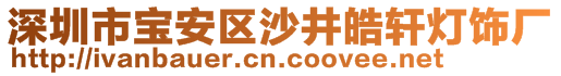 深圳市寶安區(qū)沙井皓軒燈飾廠