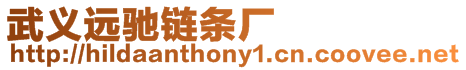 武義遠馳鏈條廠