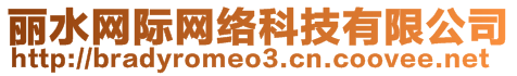 麗水網(wǎng)際網(wǎng)絡(luò)科技有限公司