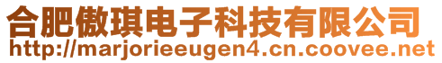 合肥傲琪電子科技有限公司