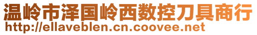 溫嶺市澤國(guó)嶺西數(shù)控刀具商行