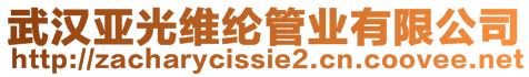 武漢亞光維綸管業有限公司
