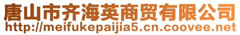 唐山市齊海英商貿(mào)有限公司