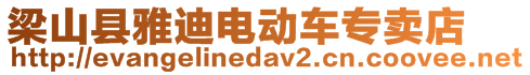 梁山縣雅迪電動車專賣店