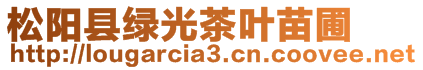 松陽(yáng)縣綠光茶葉苗圃