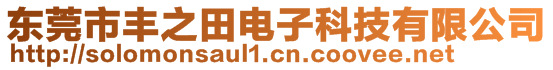 東莞市豐之田電子科技有限公司