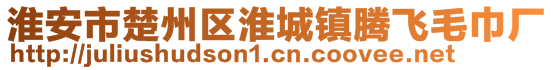 淮安市楚州区淮城镇腾飞毛巾厂