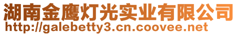 湖南金鷹燈光實(shí)業(yè)有限公司