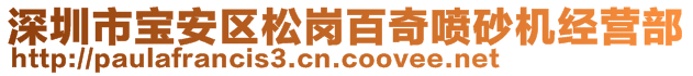 深圳市寶安區(qū)松崗百奇噴砂機(jī)經(jīng)營部