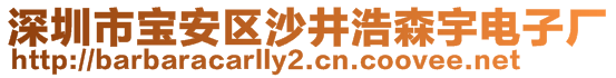 深圳市寶安區(qū)沙井浩森宇電子廠