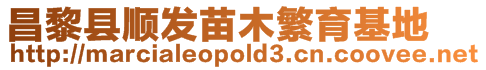昌黎縣順發苗木繁育基地