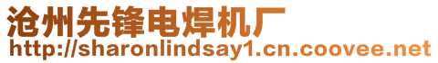 滄州先鋒電焊機廠