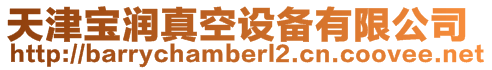天津寶潤真空設備有限公司