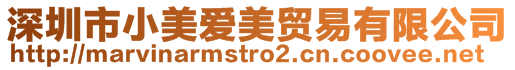 深圳市小美愛(ài)美貿(mào)易有限公司