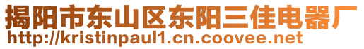 揭陽市東山區(qū)東陽三佳電器廠