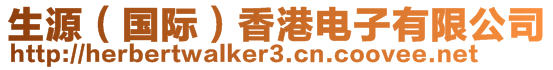 生源（國際）香港電子有限公司