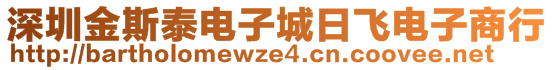 深圳金斯泰電子城日飛電子商行