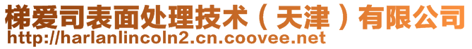 梯愛司表面處理技術(shù)（天津）有限公司