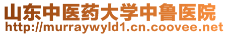 山東中醫(yī)藥大學(xué)中魯醫(yī)院