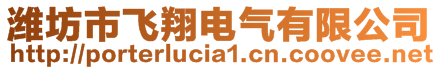 濰坊市飛翔電氣有限公司