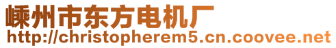 嵊州市東方電機(jī)廠