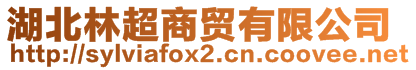 湖北林超商貿有限公司