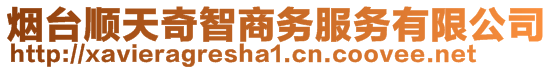 煙臺(tái)順天奇智商務(wù)服務(wù)有限公司