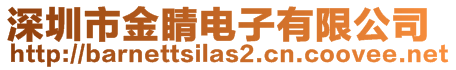 深圳市金睛電子有限公司