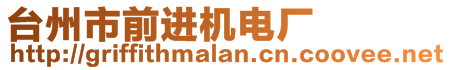 臺州市前進(jìn)機電廠