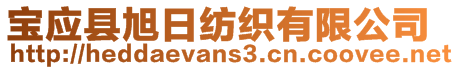 寶應(yīng)縣旭日紡織有限公司