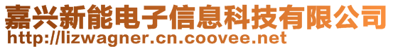 嘉兴新能电子信息科技有限公司