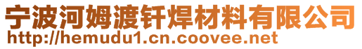 寧波河姆渡釬焊材料有限公司