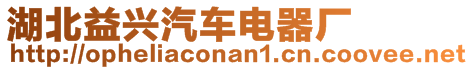 湖北益興汽車(chē)電器廠