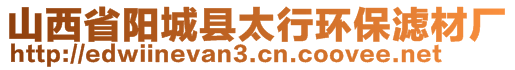 山西省陽城縣太行環(huán)保濾材廠