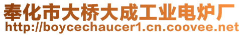 奉化市大橋大成工業(yè)電爐廠