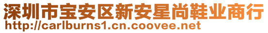 深圳市寶安區新安星尚鞋業商行