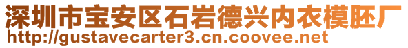 深圳市寶安區(qū)石巖德興內(nèi)衣模胚廠