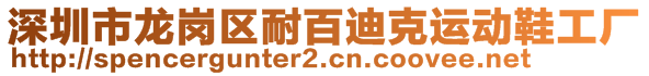 深圳市龍崗區(qū)耐百迪克運動鞋工廠