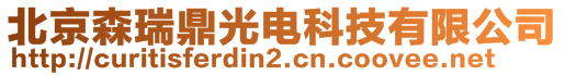 北京森瑞鼎光電科技有限公司