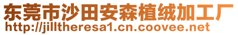 东莞市沙田安森植绒加工厂