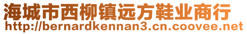 海城市西柳鎮(zhèn)遠方鞋業(yè)商行