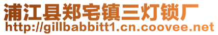 浦江縣鄭宅鎮(zhèn)三燈鎖廠