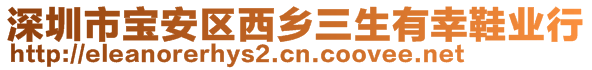 深圳市寶安區(qū)西鄉(xiāng)三生有幸鞋業(yè)行