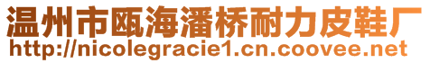 溫州市甌海潘橋耐力皮鞋廠