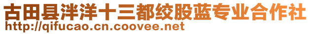古田縣泮洋十三都絞股藍專業合作社