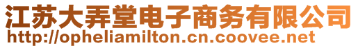 江蘇大弄堂電子商務(wù)有限公司
