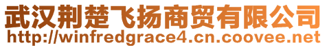 武漢荊楚飛揚商貿有限公司